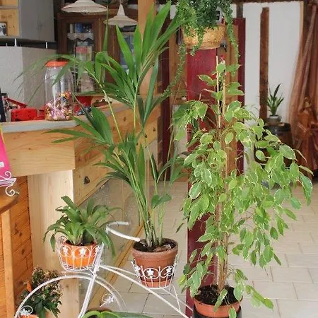 Guest house L'oustal De L'annetta Et Tables D'hotes 3*