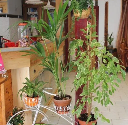 Guest house Chez Ghislaine A L'oustal 3*