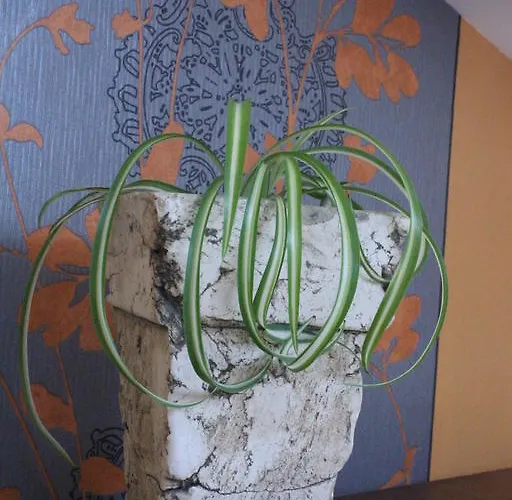 Guest house Chez Ghislaine A L'oustal 3*