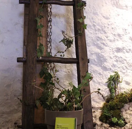 Guest house Chez Ghislaine A L'oustal