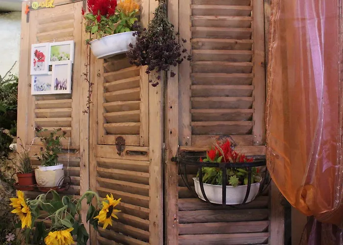 Pensión Chez Ghislaine A L'oustal Comus